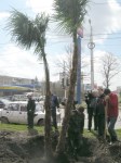 Аллея журналистов 2